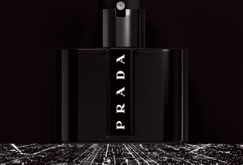 prada fragrance blackcherry|prada black cologne.